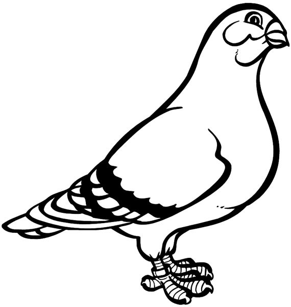 Full body pigeon in profile vinyl sticker. Customize on line. Animals Insects Fish 004-0807 